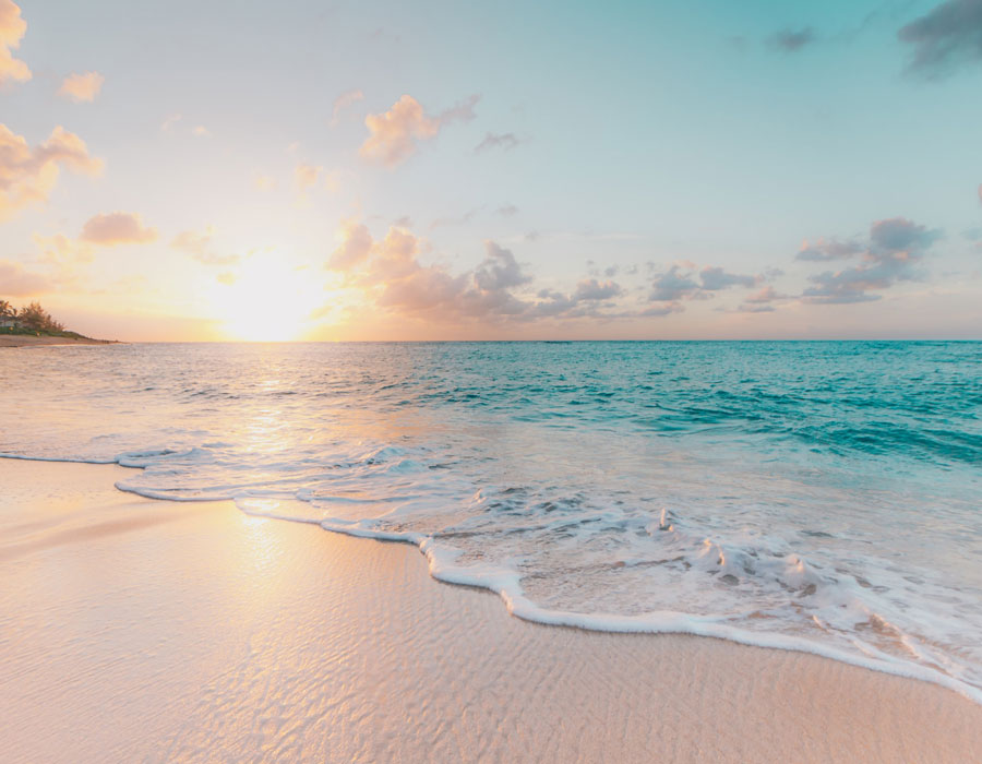 🌊 A Look at The Waves Apartments